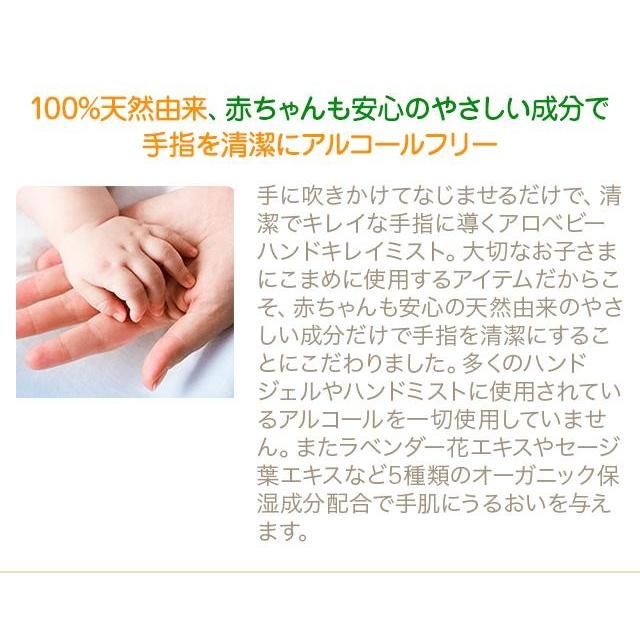 アロベビー ハンドキレイミスト アルコールフリー 手 指 赤ちゃん 子供 ハンドミスト オーガニック 無添加 Alobaby 13 N O Living 通販 Yahoo ショッピング