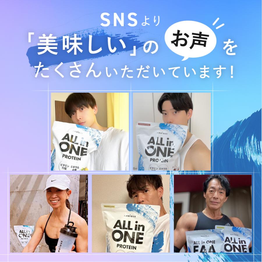 AMBiQUE（アンビーク） 3袋セット ホエイプロテイン WPC 3kg 6 2種 3袋セット アンビーク AMBiQUE ALL in ONE プロテイン