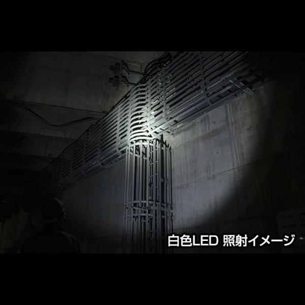 ジェントス LED ヘッドライト 赤色LED 電池式 単三 防水 CP-195DB|babygoods|02