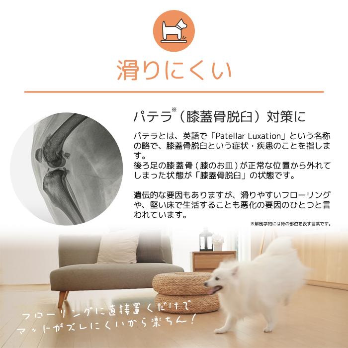 dfang ディパン【ペットプレイマット／厚み5mm／ラグタイプ（185cm