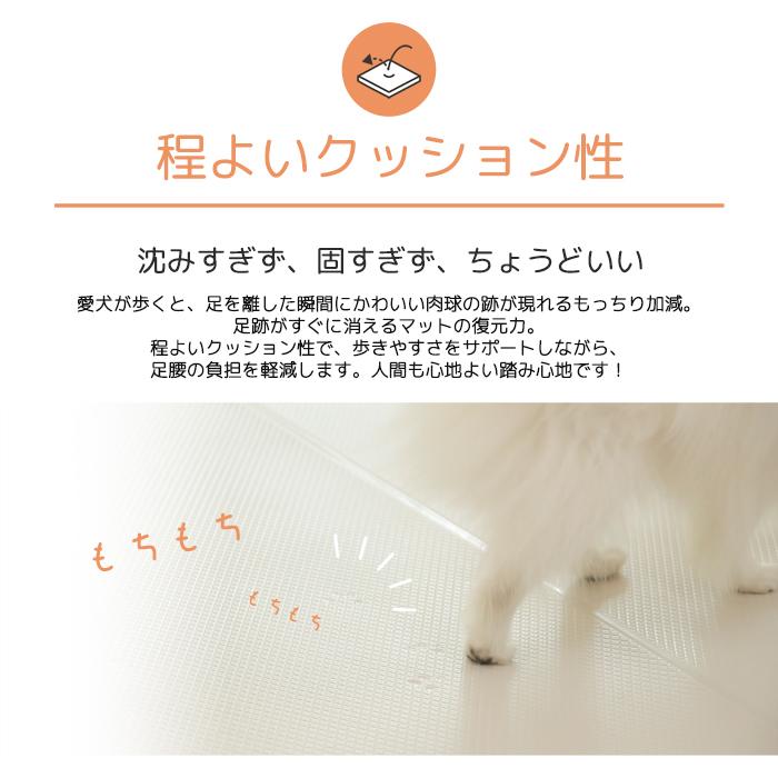 dfang ディパン【ペットプレイマット／厚み5mm／幅70cm／折りたたみ