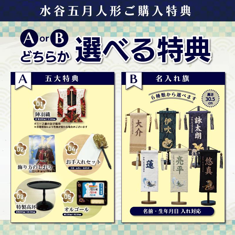 五月人形 徳川家康公 平安翠鳳作 コンパクト 収納飾り 屋久杉 11 五月人形 徳川家康公 平安翠鳳作 コンパクト 収納飾り 屋久杉 11
