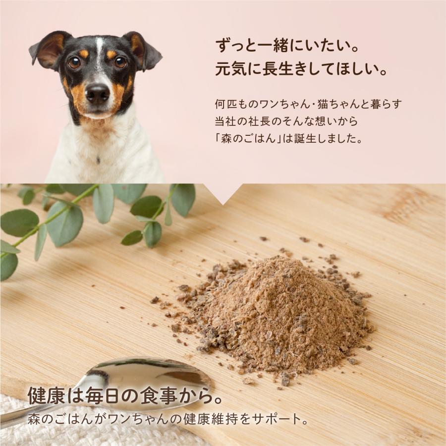 森のごはん】鹿肉ふりかけ 35g〜 犬用 無添加 国産 手作り