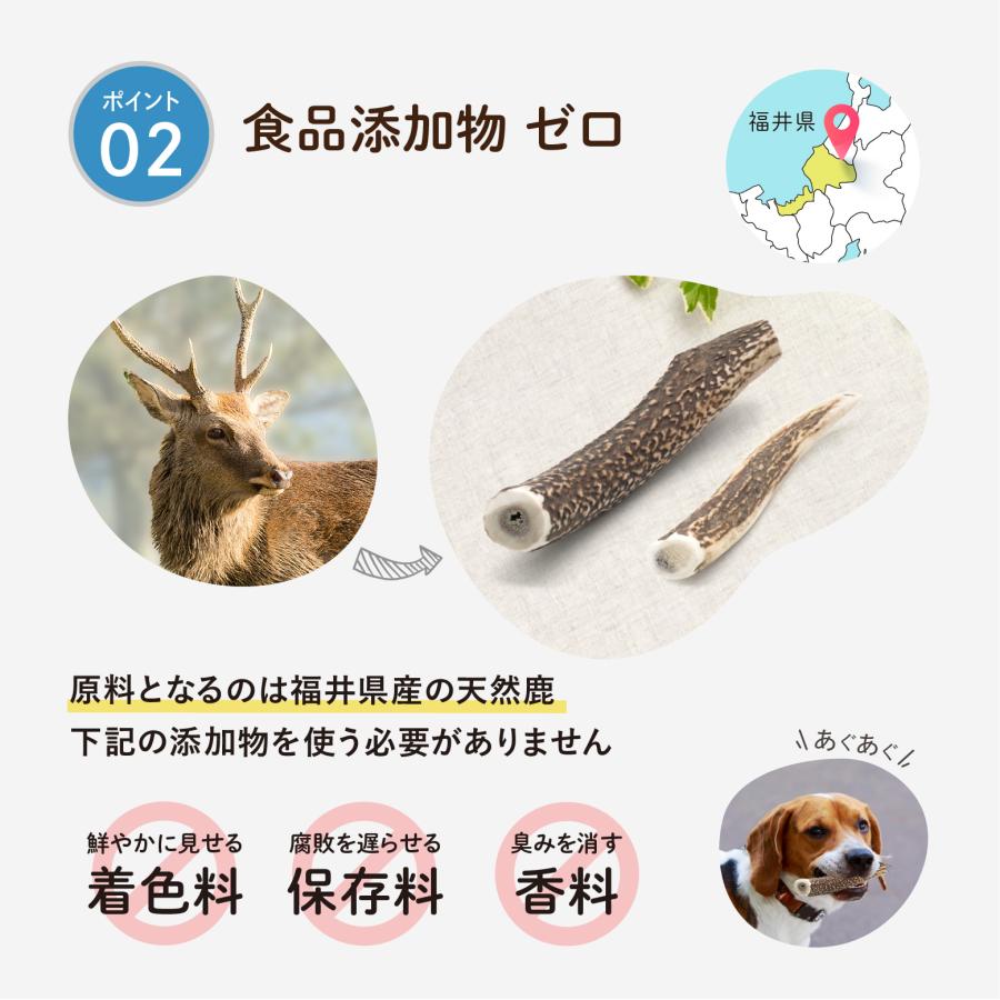 森のごはん】天然 鹿の角 国産 無添加 犬のおもちゃ デンタルケア