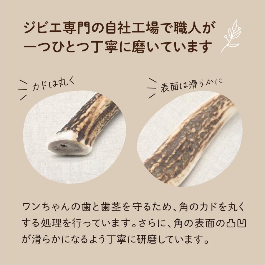 森のごはん】天然 鹿の角 国産 無添加 犬のおもちゃ デンタルケア