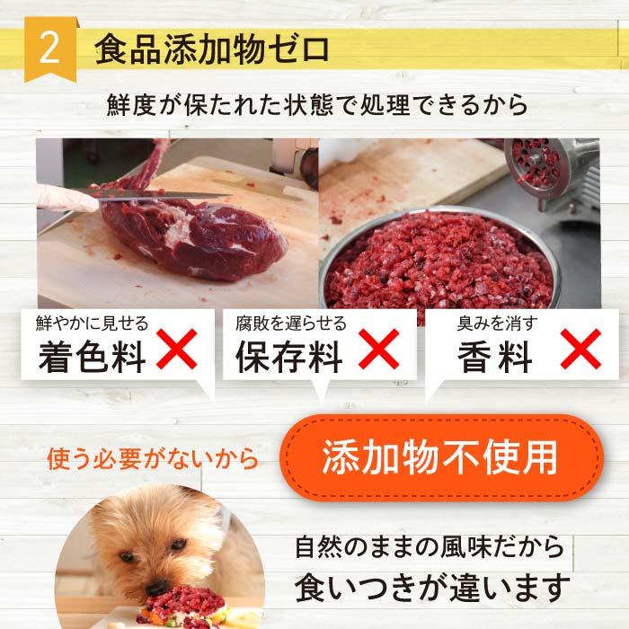 【森のごはん】永平寺ジビエ 犬用 国産 鹿肉 生肉ミンチ 小分けトレー 無添加 シニア アレルギー対策 食いつき改善 健康づく高タンパク 低脂肪｜babywest｜07