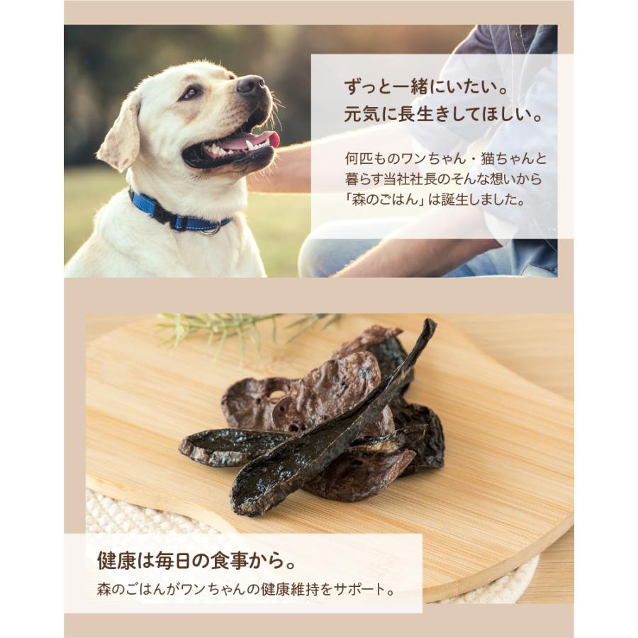 森のごはん】鹿の内臓ミックス 45g 犬用 無添加 国産 手作り
