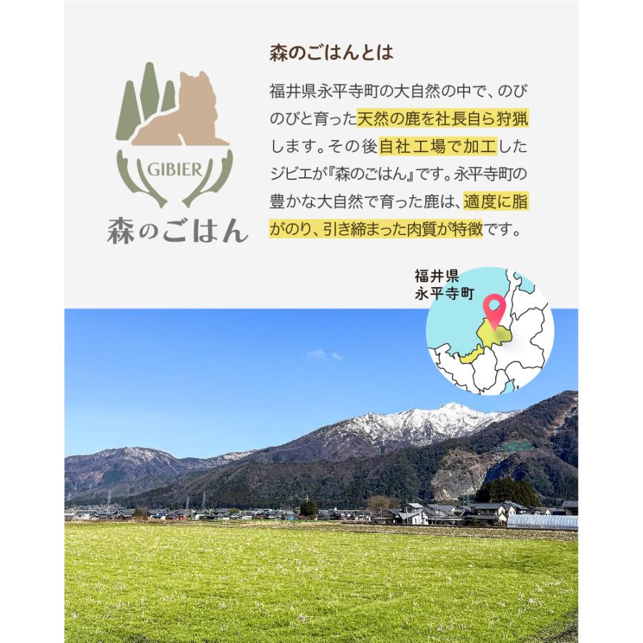 森のごはん】鹿の内臓ミックス 45g 犬用 無添加 国産 手作り