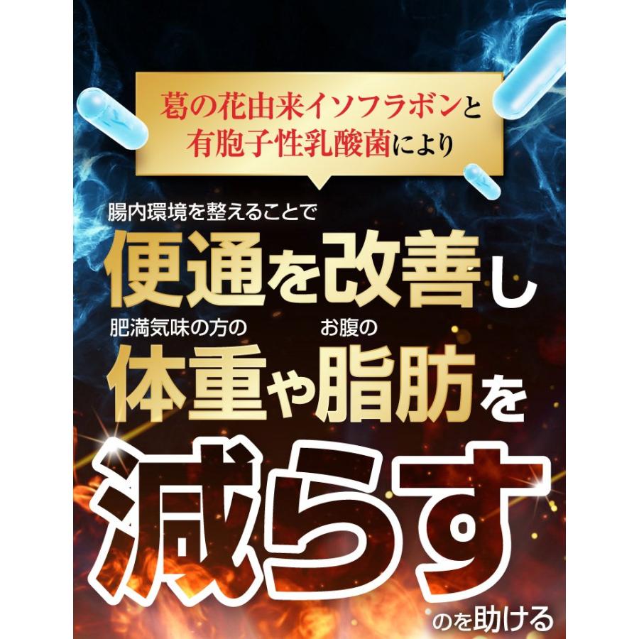 Oi gurt-オイグルト- 30日分】 ダイエットサプリ 機能性表示食品 Oi gurt-オイグルト- 30日分】 ダイエットサプリ 機能性表示食品