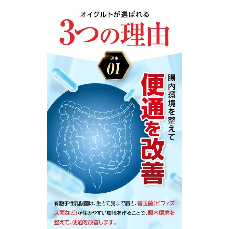 Oi gurt-オイグルト- 30日分】 ダイエットサプリ 機能性表示食品 Oi gurt-オイグルト- 30日分】 ダイエットサプリ 機能性表示食品