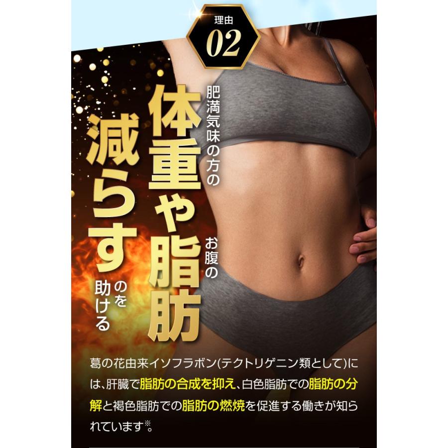 Oi gurt-オイグルト- 30日分】 ダイエットサプリ 機能性表示食品 Oi gurt-オイグルト- 30日分】 ダイエットサプリ 機能性表示食品