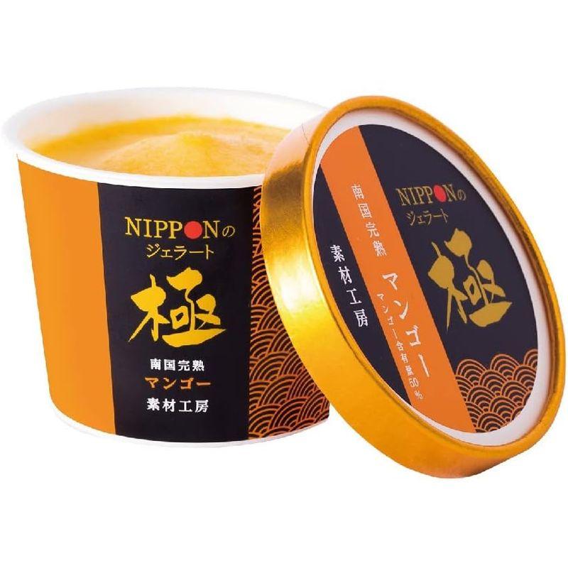 NIPPONのジェラート極 マンゴー 16個入 アイス スイーツ ギフト お返し