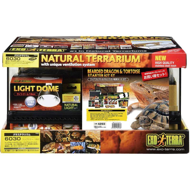GEX EXOTERRA フトアゴヒゲトカゲ&リクガメ飼育キット 爬虫類
