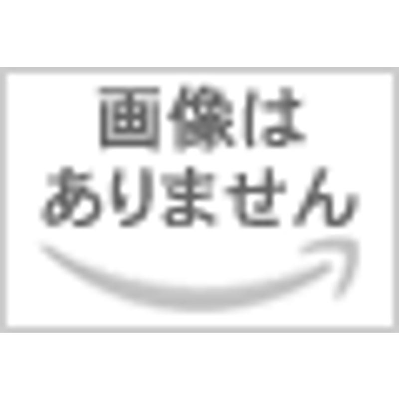 250kgx7.0m　チェーンブロック