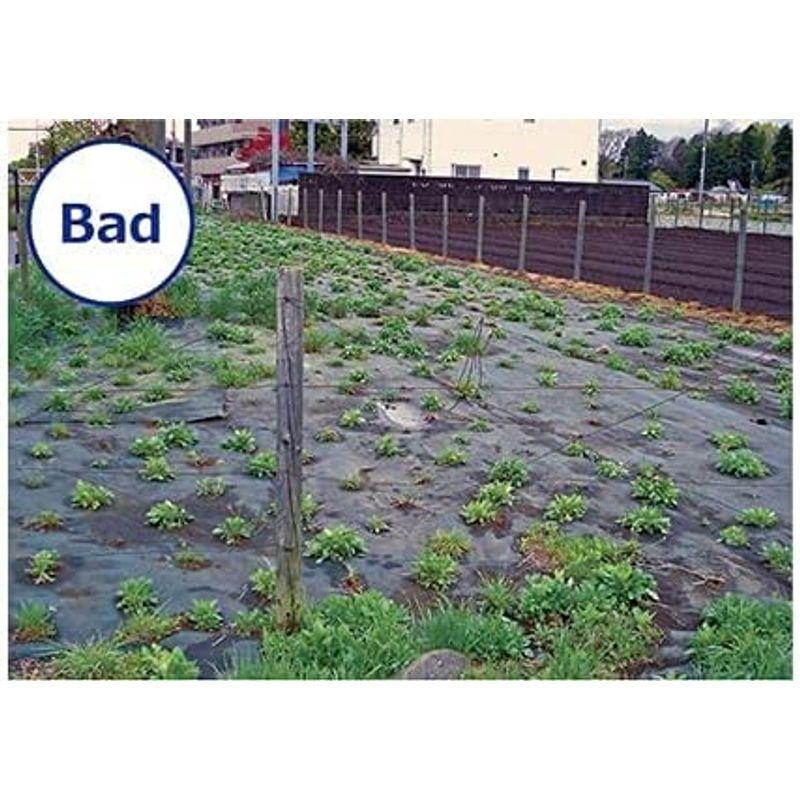 NITTO SEKKO ザバーン プランテックス 人工芝下地 防草 防草用 雑草対策 草取り 固定 ピン ワッシャー テープ 防草シート デ SEKKO ザバーン プランテックス 人工芝下地 防草 防草用 雑草対策 草取り 固定 ピン ワッシャー テープ 防草シート