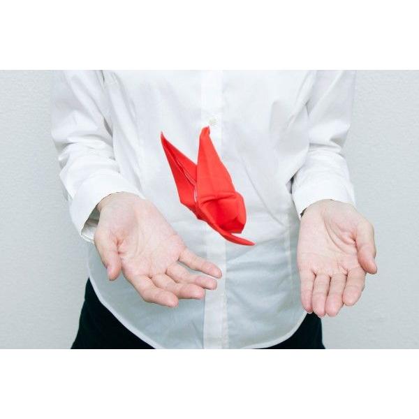 メガネ拭き peti peto プッチペット プチペット 赤ツル |  | 04