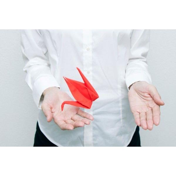 メガネ拭き peti peto プッチペット プチペット 赤ツル |  | 05