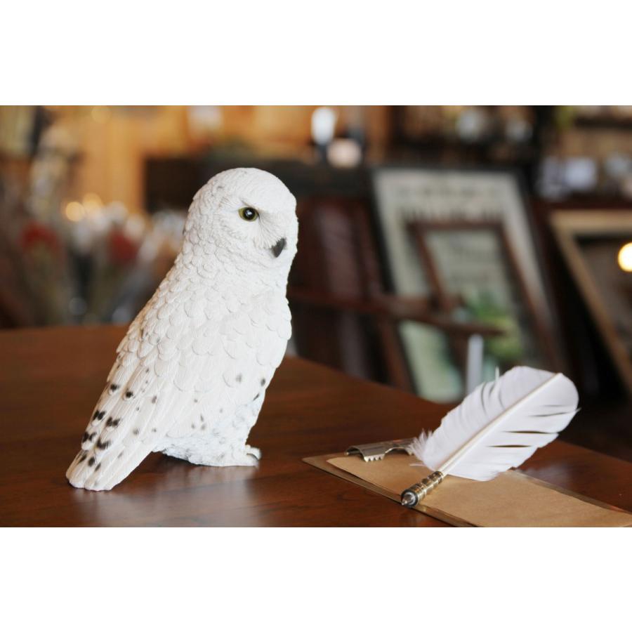オブジェ ペットバンク オウル 貯金箱 動物 鳥 PET BANK Owl シロフクロウ |  | 01
