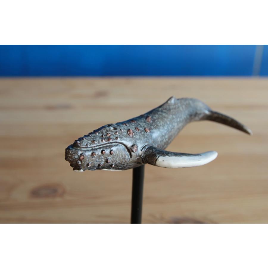オブジェ アルカイコ Arcaico ザトウクジラ |  | 01