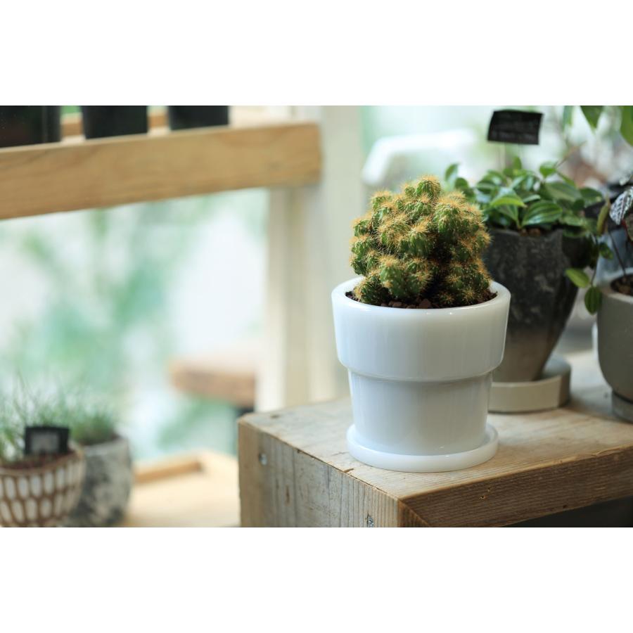 プランターポット 正規品 ideaco イデアコ Milk Glass Planter Pot3 鉢植え 植木鉢 ミルクガラスプランターポット3 ホワイト |  | 01
