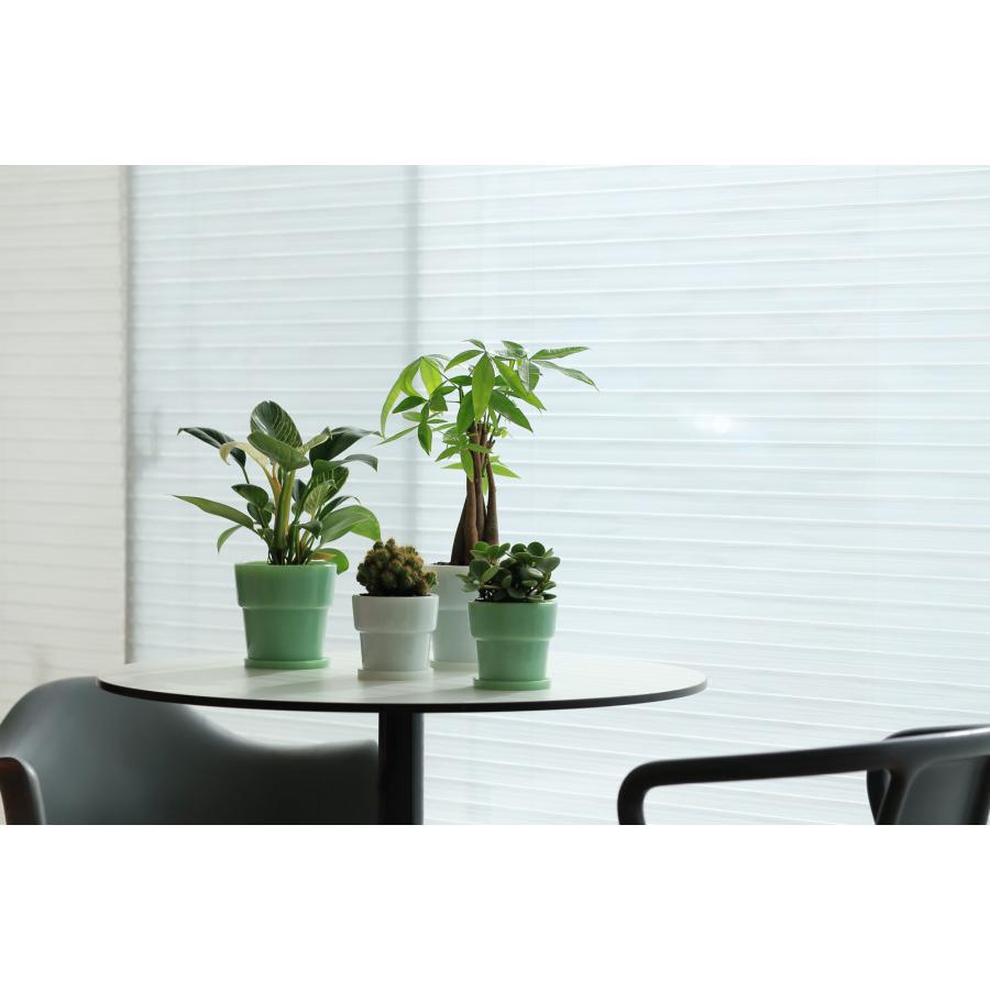 プランターポット 正規品 ideaco イデアコ Milk Glass Planter Pot4 鉢植え 植木鉢 ミルクガラスプランターポット4 ホワイト |  | 04