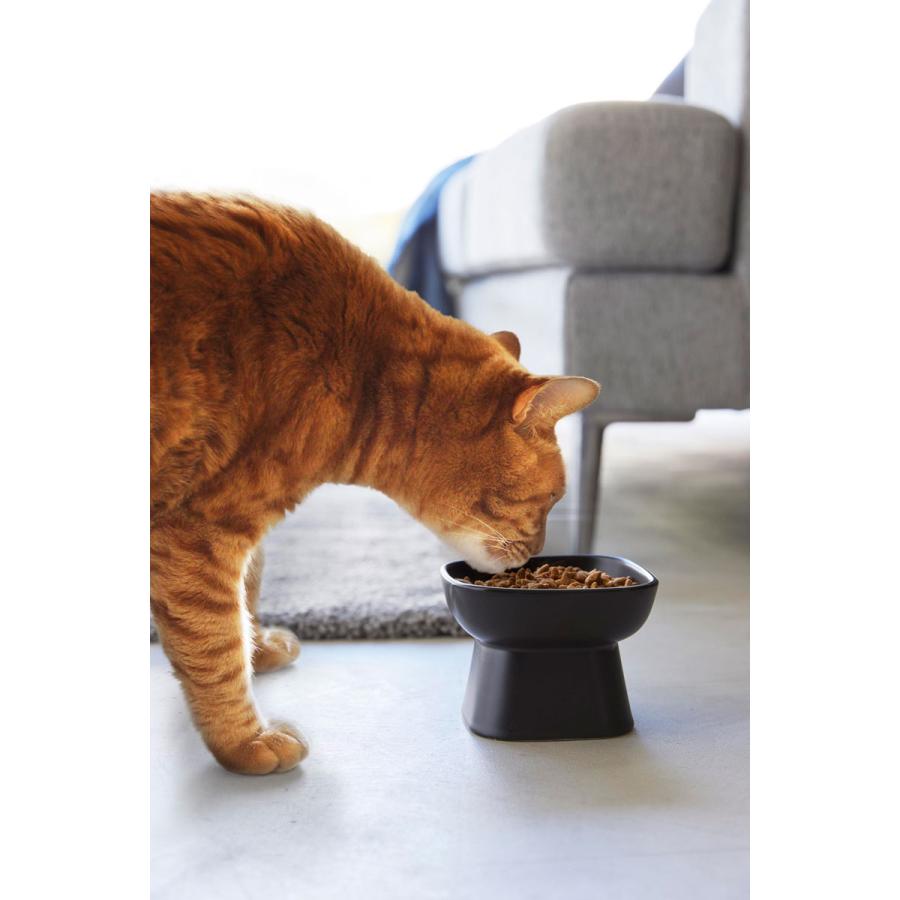 ペットフードボウル 山崎実業 正規品 nooks ヌークス 食べやすい高さ陶器ペットフードボウル ペット用品  ブラック | 山崎実業 | 07