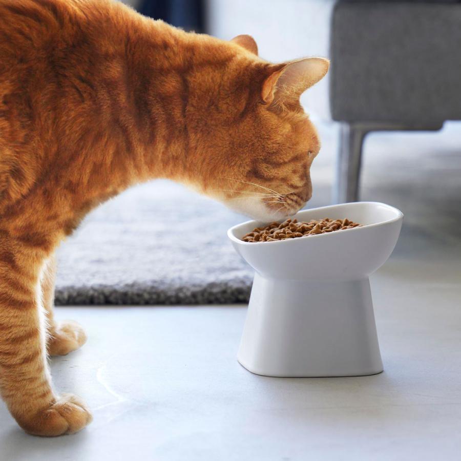 ペットフードボウル 山崎実業 正規品 nooks ヌークス 食べやすい高さ陶器ペットフードボウル 斜めトール ペット用品  ホワイト | 山崎実業
