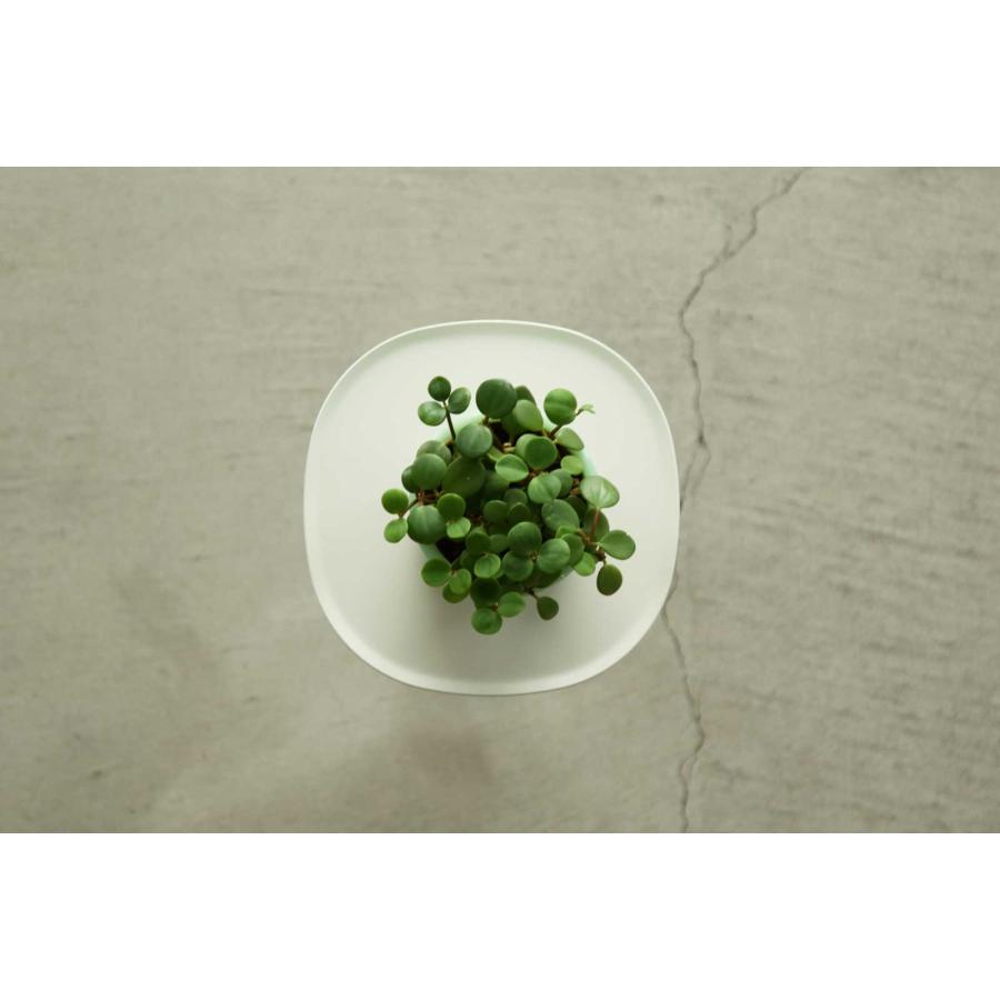 正規品 ideaco イデアコ ミニマムサイドテーブル23 コーヒーテーブル ナイトテーブル minimal steel furniture side table 23 H350 サンドホワイト |  | 03