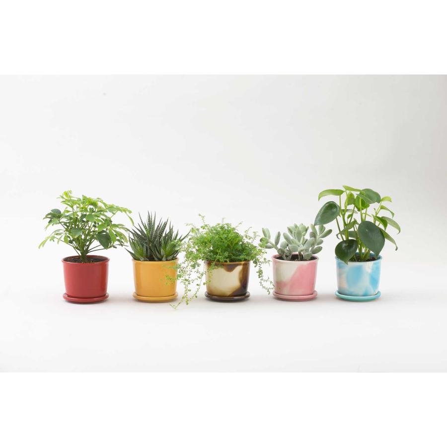 3号ポット 100％ 100パーセント 100percent MUG POT - Marble 植木鉢 マグポット マーブル マーブルブラウン | 100percent | 02