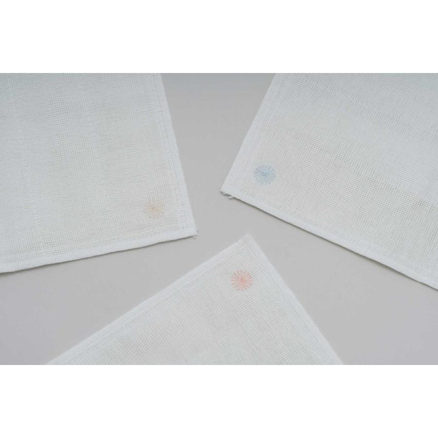 ふきん 100％ 100パーセント 100percent RAY 布巾 レイ レッド | 100percent | 03