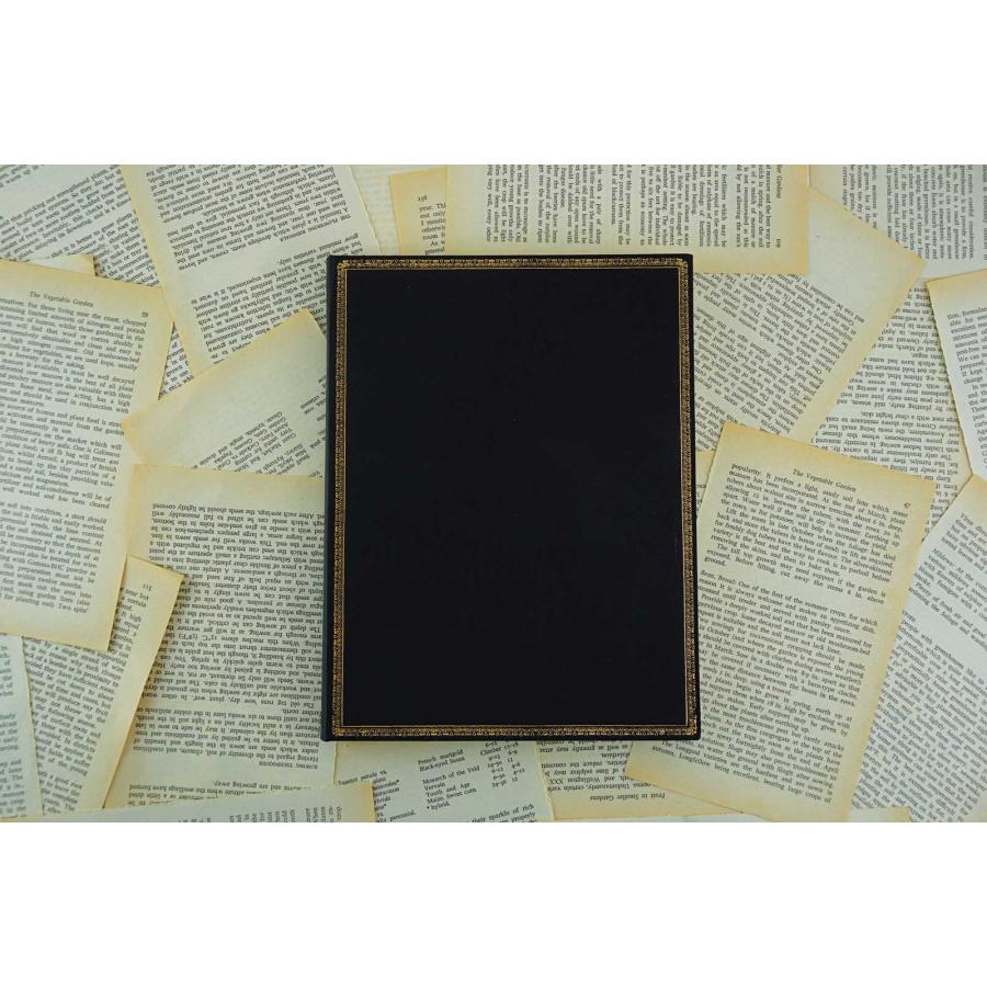 ノートブック 正規品 paperblanks ペーパーブランクス MIDI ハードカバー 罫線 高級ノート ミディ ブラックエディション | paperblanks | 01