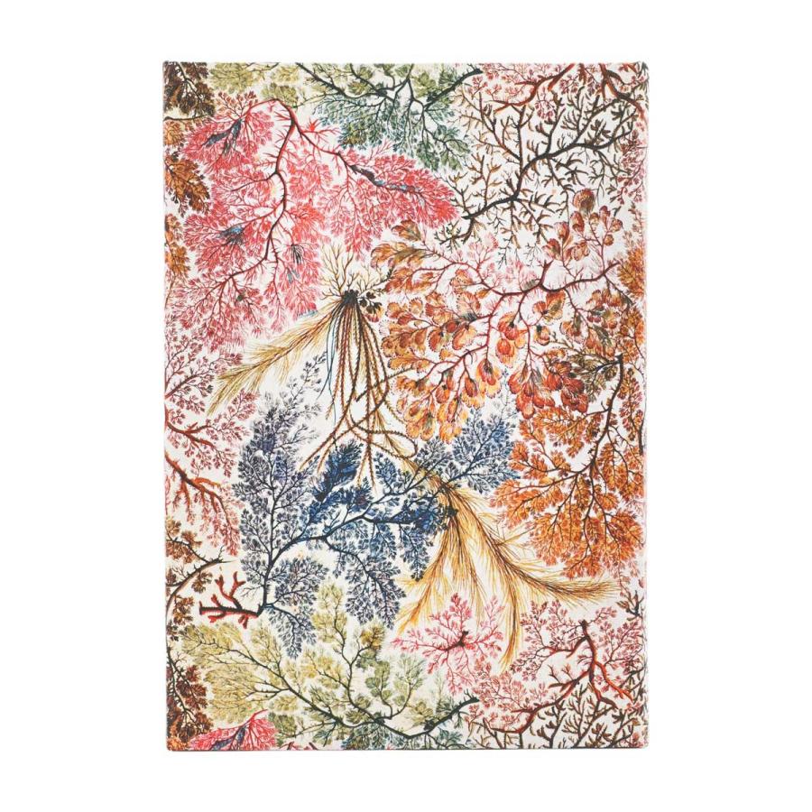 スケジュール帳 正規品 paperblanks ペーパーブランクス MIDI ハードカバー 2026年版 ダイアリー 日本語版 手帳 ミディ アネモネ | paperblanks | 02