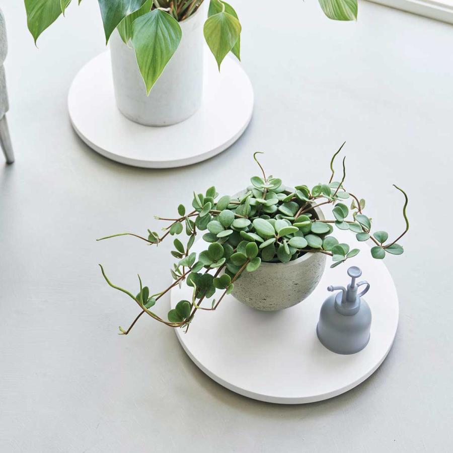 室内台車 山崎実業 正規品 tower タワー 薄型台車 ラウンド L 植木鉢台 リビング収納  10695 ホワイト | tower