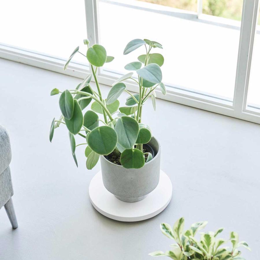 室内台車 山崎実業 正規品 tower タワー 薄型台車 ラウンド S 植木鉢台 リビング収納  10697 ホワイト | tower