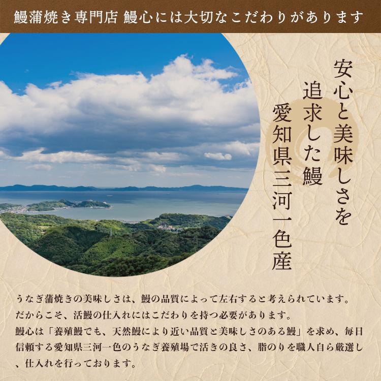 ひつまぶし うなぎ 蒲焼き 国産 Mz 5 通信販売 きざみ 5食入り 1食 約50g 刻み グルメ お取り寄せ ギフト 名古屋 ウナギ お土産 山椒付き