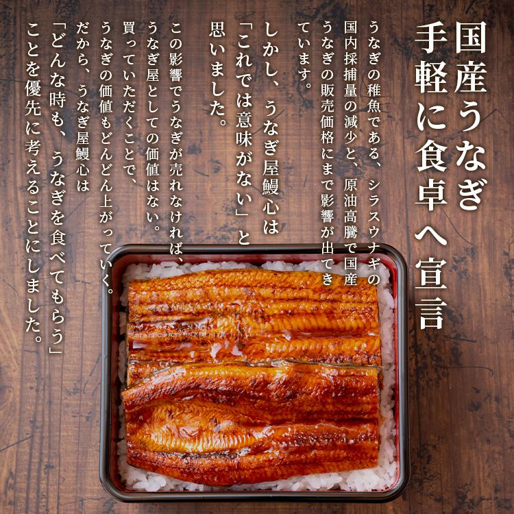 ひつまぶし 国産 Sz 3 訳あり うなぎ 蒲焼き 鰻 ウナギ きざみ 3食入り 1食50g 山椒付き 名古屋 お取り寄せ グルメ お土産 Sz 3 国産うなぎ蒲焼き専門店 鰻心 通販 Yahoo ショッピング