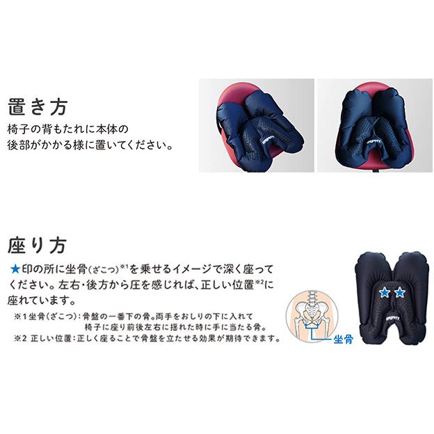 ラッピング無料】骨盤矯正 姿勢矯正 公式 シットエアー マックス