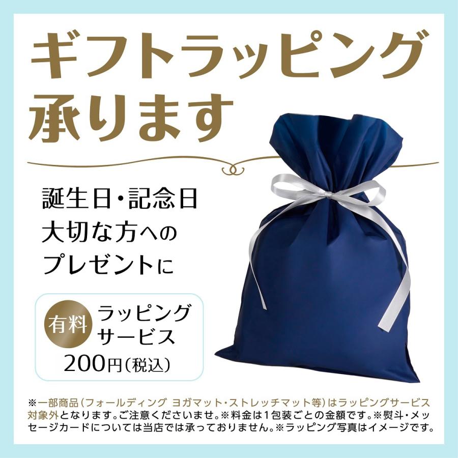 送料無料】骨盤矯正 姿勢矯正 骨盤サポートシート 腰痛 長時間