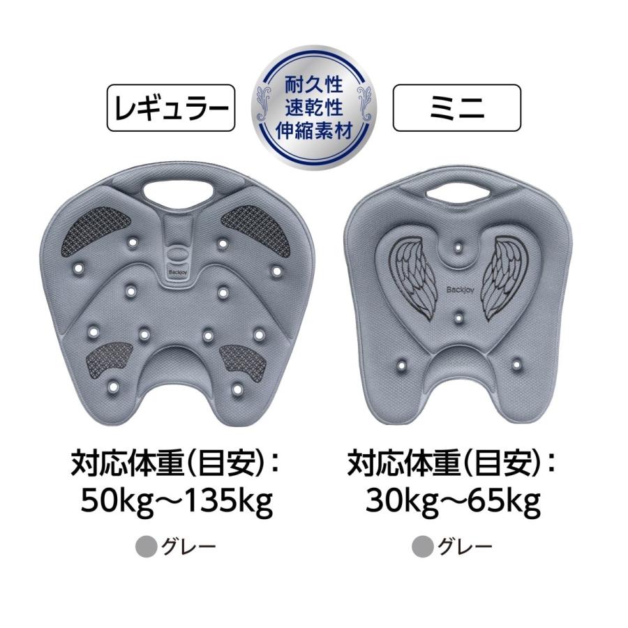 ラッピング無料 クッション 姿勢矯正 骨盤矯正 公式 バック ラッピング無料 クッション 姿勢矯正 骨盤矯正 公式 バック
