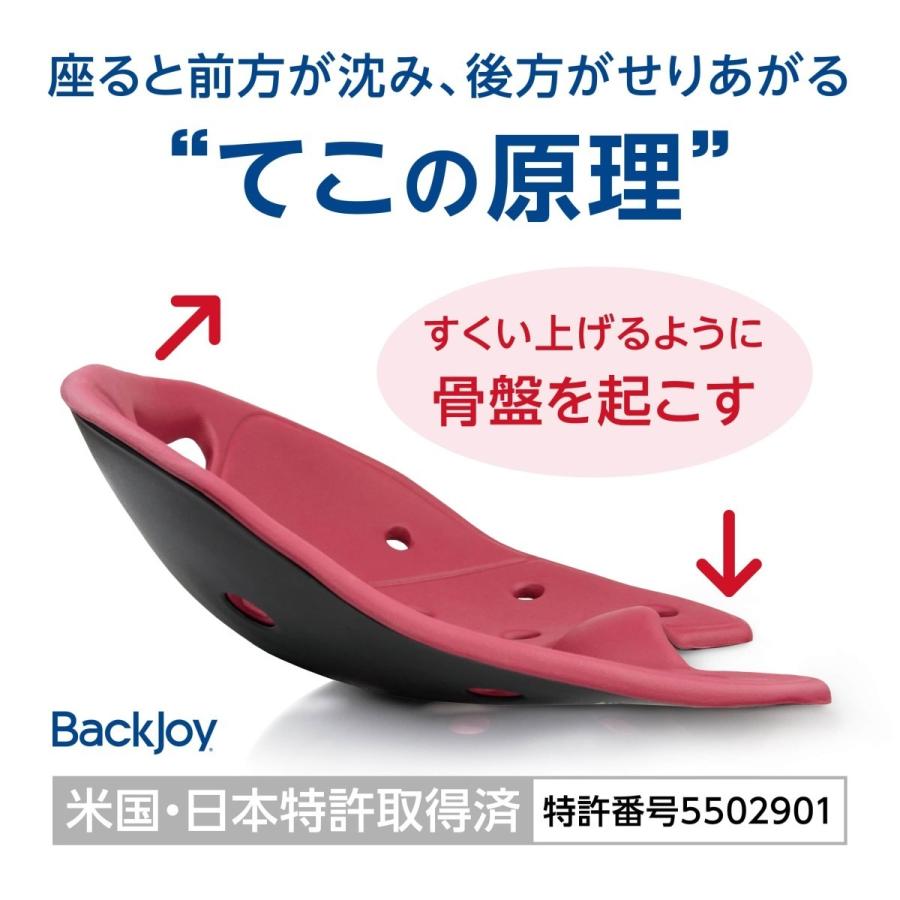 【ラッピング無料】骨盤サポートシート 腰痛 公式 バックジョイ メディコアリリーフ レギュラー・ミニ（全2色） BackJoy_4