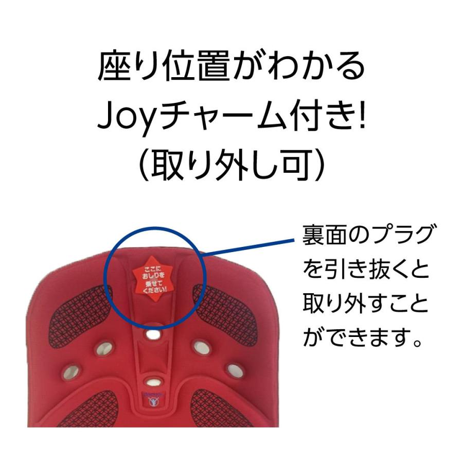 バックジョイ　レギュラー　姿勢補助 Amazon.co.jp: BackJoy(バックジョイ) メディコアポスチャー
