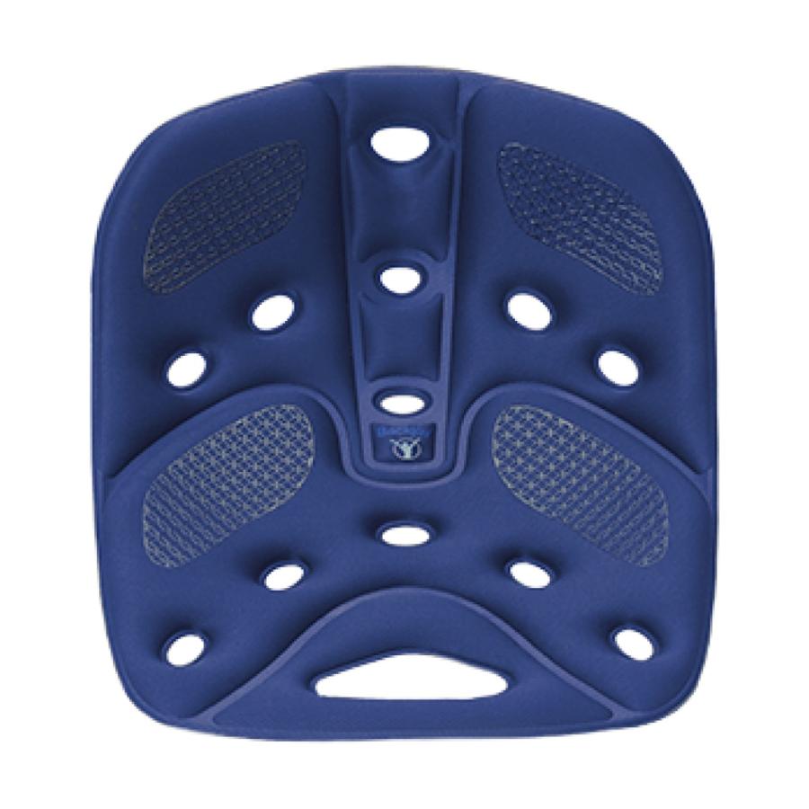 ラッピング無料】骨盤矯正 姿勢矯正 公式 バックジョイ リリーフ