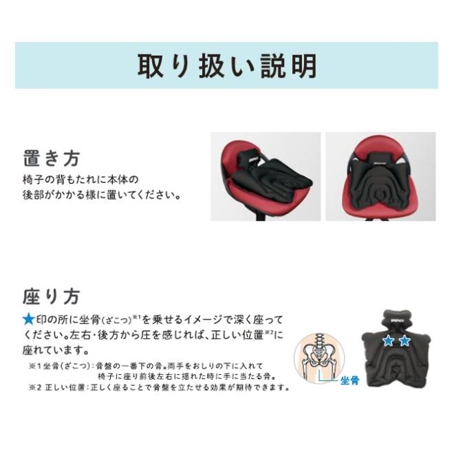 めざましテレビで紹介 骨盤矯正 姿勢矯正 公式 シットエアー トラベル