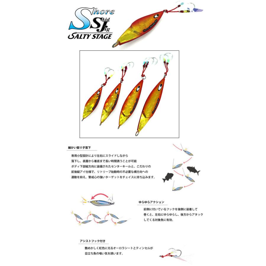 Abu Garcia（アブガルシア） ショアスキッドジグ 40g ゼブラ AbuGarcia