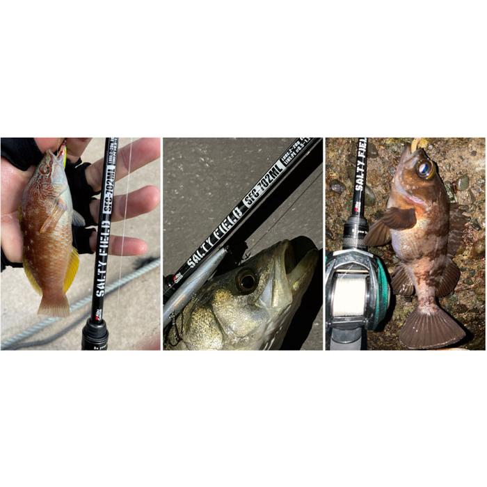 Abu Garcia（アブガルシア） ソルティーフィールド SFS-762L Abu