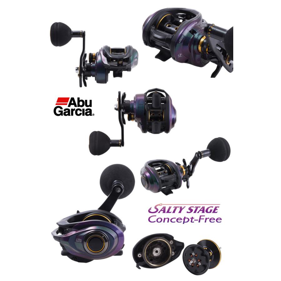Abu Garcia（アブガルシア） ソルティーステージ コンセプトフリー Abu