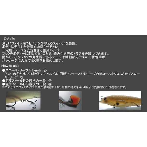 TSUNEKICHI（常吉） ウオデス/乙型小 シャンピン : バックラッシュ
