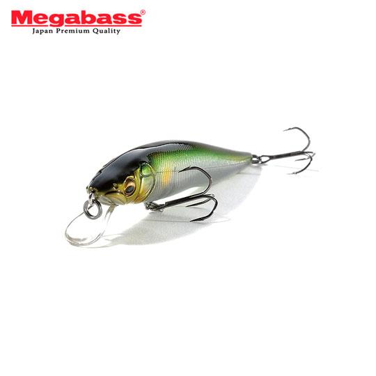 Megabass（メガバス） ビジョン95 【2】 : バックラッシュYahoo!店