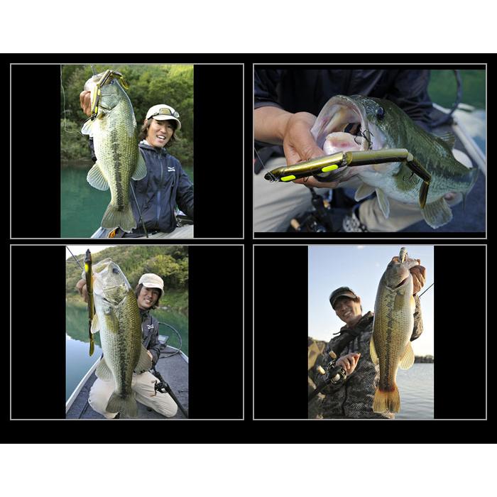 Megabass メガバス イーラ Megabass EELER : バックラッシュ Megabass メガバス イーラ Megabass EELER : バックラッシュ