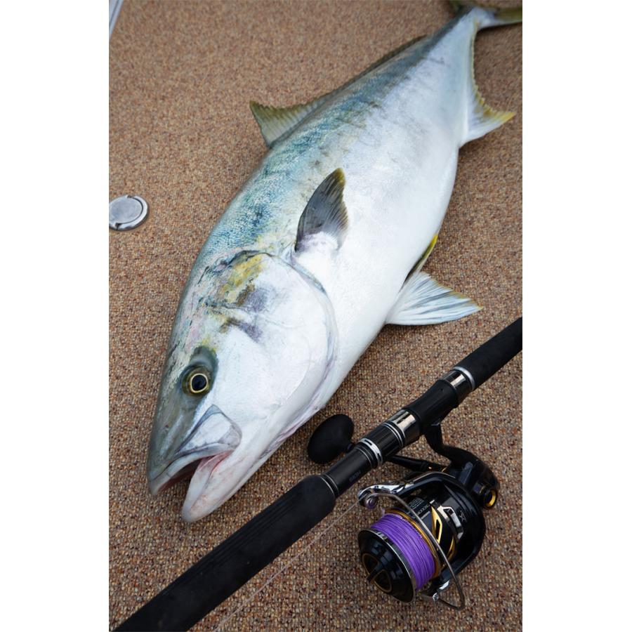 VARIVAS（バリバス） アバニ キャスティングPE SMP ヒラマサチューン